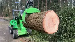 images/0000nieuws/2024/knegsel/verwijderen-bomen-eindhoven-stronken-weg-frezen-opruimen-bomen-in-achtertuin4-257x145-6cc