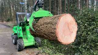 verwijderen bomen Eindhoven stronken weg frezen opruimen bomen in achtertuin