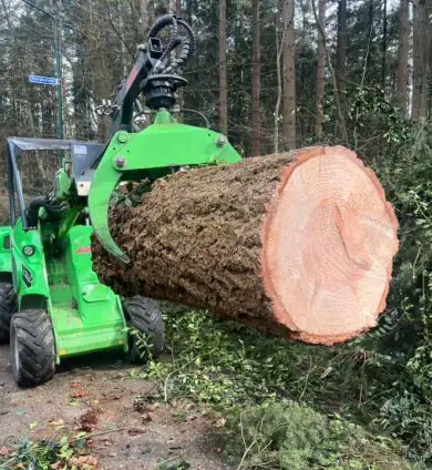 images/0000nieuws/2024/knegsel/verwijderen-bomen-eindhoven-stronken-weg-frezen-opruimen-bomen-in-achtertuin4-390x424-b50