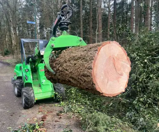 images/0000nieuws/2024/knegsel/verwijderen-bomen-eindhoven-stronken-weg-frezen-opruimen-bomen-in-achtertuin4-510x424-c6b