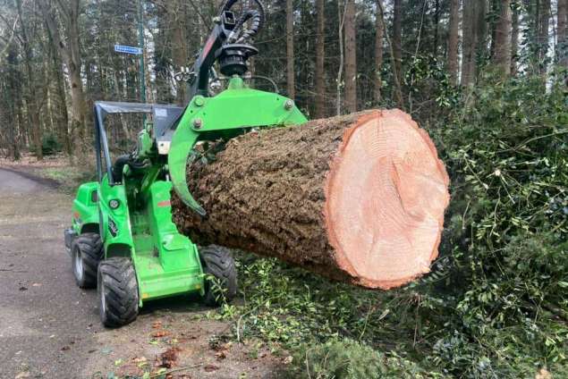 verwijderen bomen Eindhoven stronken weg frezen opruimen bomen in achtertuin