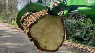 verwijderen bomen Eindhoven stronken weg frezen opruimen bomen in achtertuin