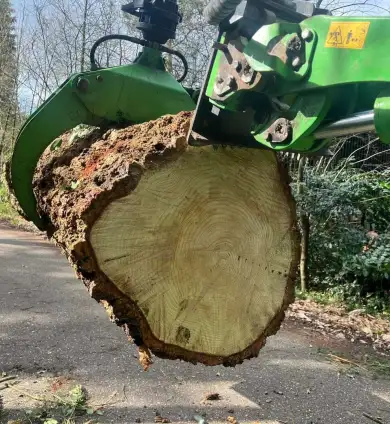 images/0000nieuws/2024/knegsel/verwijderen-bomen-eindhoven-stronken-weg-frezen-opruimen-bomen-in-achtertuin5-390x424-044