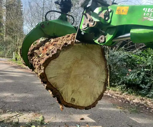 images/0000nieuws/2024/knegsel/verwijderen-bomen-eindhoven-stronken-weg-frezen-opruimen-bomen-in-achtertuin5-510x424-331