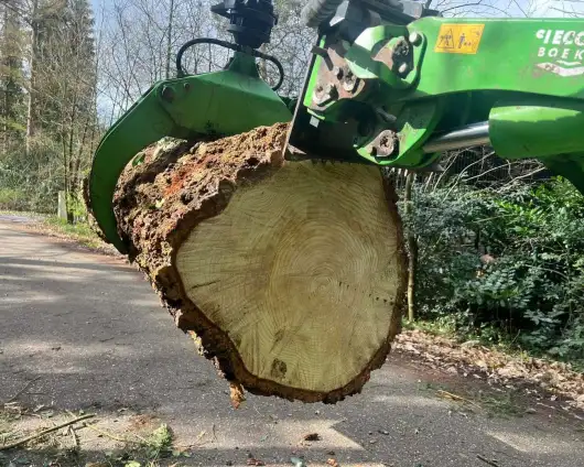 images/0000nieuws/2024/knegsel/verwijderen-bomen-eindhoven-stronken-weg-frezen-opruimen-bomen-in-achtertuin5-530x424-804