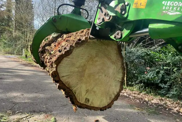 images/0000nieuws/2024/knegsel/verwijderen-bomen-eindhoven-stronken-weg-frezen-opruimen-bomen-in-achtertuin5-635x424-d28
