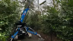 images/0000nieuws/2024/knegsel/verwijderen-bomen-eindhoven-stronken-weg-frezen-opruimen-bomen-in-achtertuin6-257x145-90a