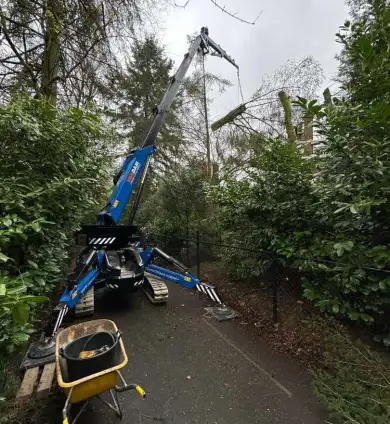 images/0000nieuws/2024/knegsel/verwijderen-bomen-eindhoven-stronken-weg-frezen-opruimen-bomen-in-achtertuin6-390x424-12f