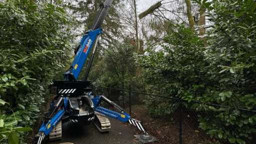 verwijderen bomen Eindhoven stronken weg frezen opruimen bomen in achtertuin