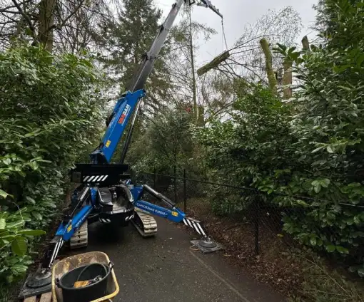 images/0000nieuws/2024/knegsel/verwijderen-bomen-eindhoven-stronken-weg-frezen-opruimen-bomen-in-achtertuin6-510x424-2f0