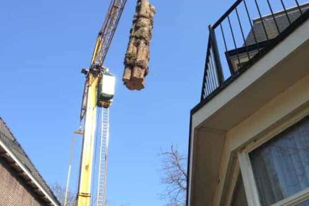 Bomen kappen Woudrichem