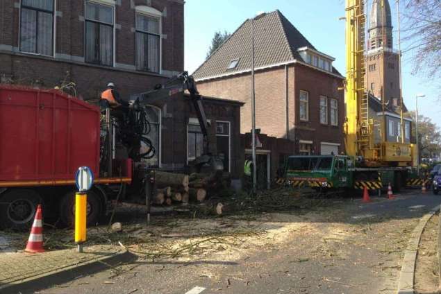 Bomen kappen Breukelveen