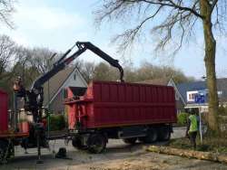 Bomen kappen Waalwijk