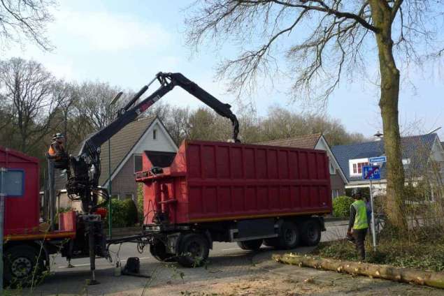 Bomen kappen Zeeland