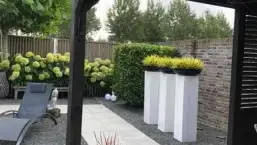 images/001-tuinaanleg-ettenleur/1-oktober-marion-tuinaanleg/Tuin-laten-aanleggen-Tilburg-257x145-319