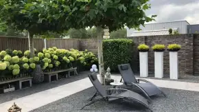 images/001-tuinaanleg-ettenleur/1-oktober-marion-tuinaanleg/aanleggen-van-tuin-in-tilburg-290x163-7c2