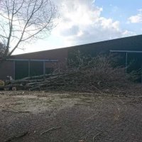 images/001-tuinaanleg-ettenleur/31-maart-bomen-rooien/bomen-verwijderne-in-Rosmalen-200x200-945