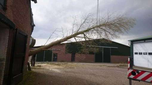images/001-tuinaanleg-ettenleur/31-maart-bomen-rooien/groote-bomen-verwijderen-rosmalen-510x287-3ad