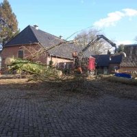 images/001-tuinaanleg-ettenleur/31-maart-bomen-rooien/strom-bomen-opruimen-Tilburg-200x200-945