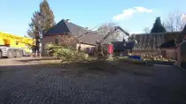 images/001-tuinaanleg-ettenleur/31-maart-bomen-rooien/strom-bomen-opruimen-Tilburg-210x118-c6d