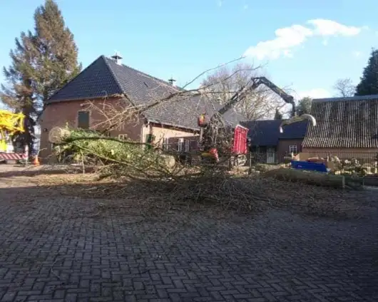 images/001-tuinaanleg-ettenleur/31-maart-bomen-rooien/strom-bomen-opruimen-Tilburg-530x424-71f