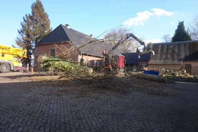 Bomen kappen prinsenbeek