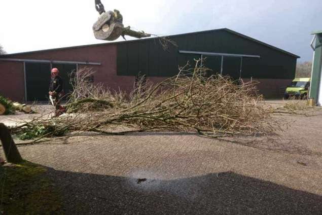 Bomen kappen Sprundel