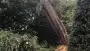 images/001-tuinaanleg-ettenleur/4-10-meersen-boom-kappen/bomen-rooien-90x51-929