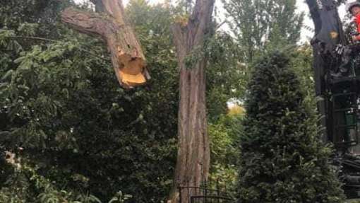 images/001-tuinaanleg-ettenleur/4-10-meersen-boom-kappen/bomen-rooien-meersen-510x287-3ad