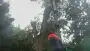 images/001-tuinaanleg-ettenleur/4-10-meersen-boom-kappen/kappen-van-bomen-90x51-929