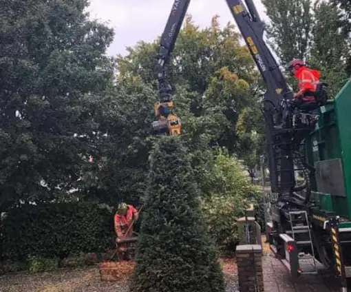 images/001-tuinaanleg-ettenleur/4-10-meersen-boom-kappen/rooien-van-bomen-510x424-fda