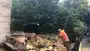images/001-tuinaanleg-ettenleur/4-10-meersen-boom-kappen/verwijderen-bomen-90x51-929