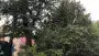 images/001-tuinaanleg-ettenleur/4-10-meersen-boom-kappen/verwijderen-van-bomen-90x51-929