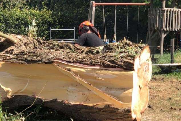 Bomen kappen Loosbroek