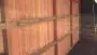 images/001-tuinaanleg-ettenleur/Douglas-schutting-zetten/Douglas-schutting-Den-Bosch-Uttrecht-Amsterdam-90x51-0a2