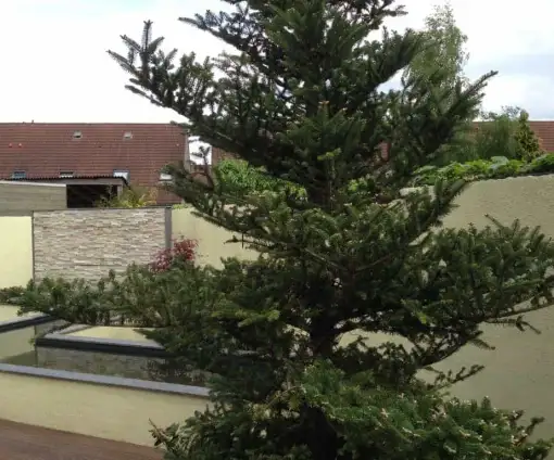images/001-tuinaanleg-ettenleur/Tuin-aanleg-Hovenier-Etten-Leur-kosten-Oisterwijk-013-510x424-f86