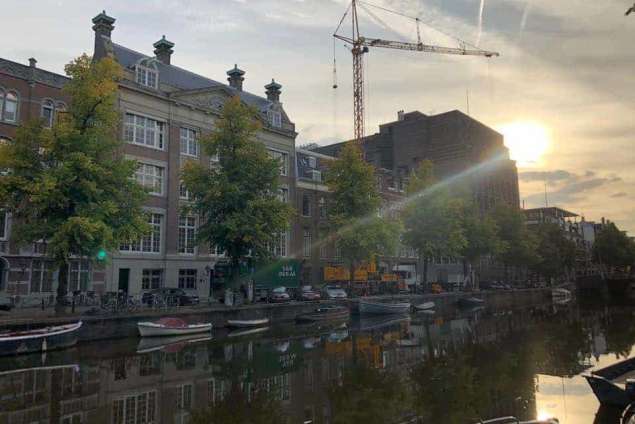 omgevallen boom opruimen Amsterdam achtertuin