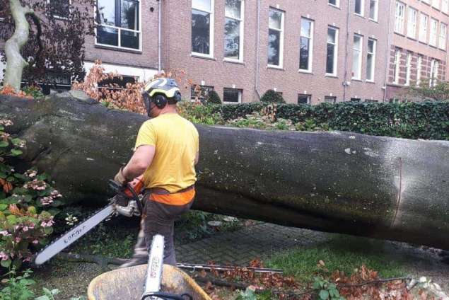 Bomen kappen Chaam