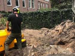 Bomen kappen Duizel