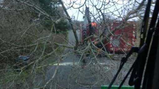 bomen rooien burg haamstede