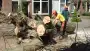 images/001-tuinaanleg-ettenleur/boomverwijderen-schiedam/dikke-boom-uit-achtertuin-zagen-schiedam-90x51-2f9