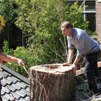images/001-tuinaanleg-ettenleur/boomverwijderen-schiedam/schiedam-boom-kap-200x200-a66