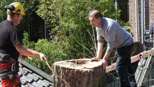 images/001-tuinaanleg-ettenleur/boomverwijderen-schiedam/schiedam-boom-kap-510x287-a22
