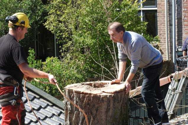 Bomen kappen Haarsteeg