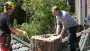 images/001-tuinaanleg-ettenleur/boomverwijderen-schiedam/schiedam-boom-kap-90x51-2f9