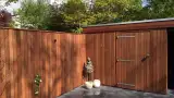 images/001-tuinaanleg-ettenleur/breda/Moderne-tuin-aanleg-Ulvenhout-160x90-99c