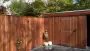 images/001-tuinaanleg-ettenleur/breda/Moderne-tuin-aanleg-Ulvenhout-90x51-2f9