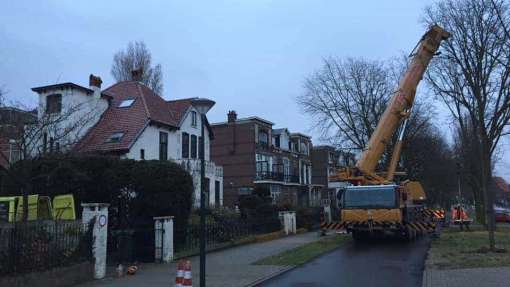 boom rooien Den Haag