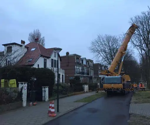 images/001-tuinaanleg-ettenleur/den-haag-boom-kap/Den-Haag-verwijderen-van-bomen-510x424-5a7