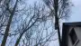 images/001-tuinaanleg-ettenleur/den-haag-boom-kap/Den-haag-boom-kappen-90x51-0a2